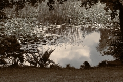 002.1 Privy Pond
