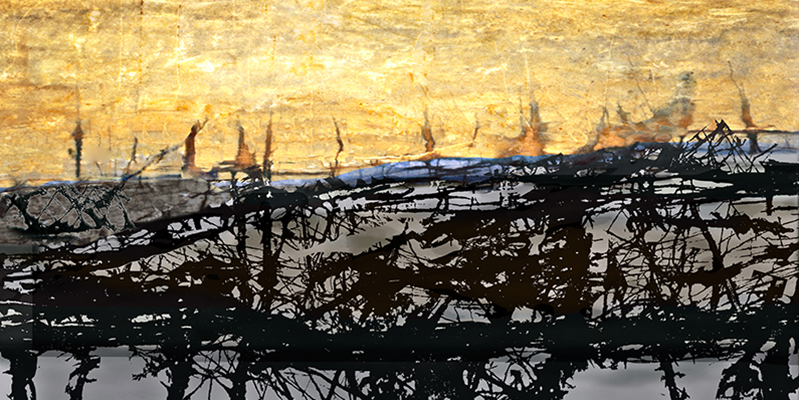 A devastated field by fire, with new sunlight emerging