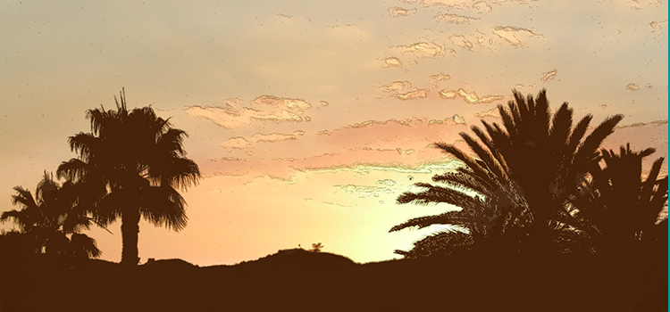 Peaceful sunset
